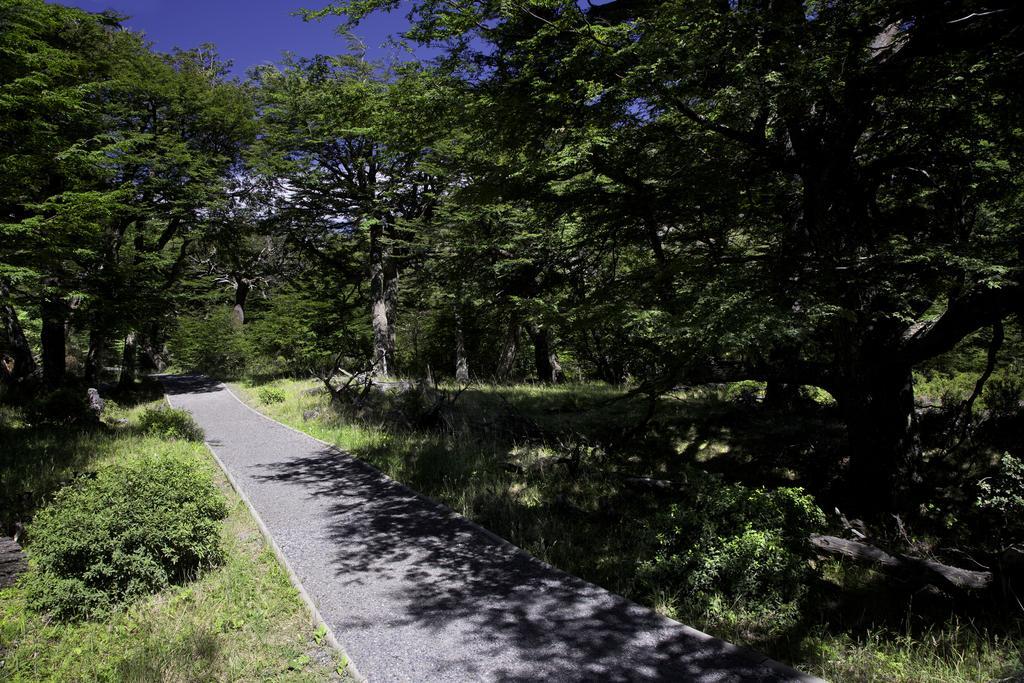 Hotel Lago Grey Torres del Paine National Park Εξωτερικό φωτογραφία